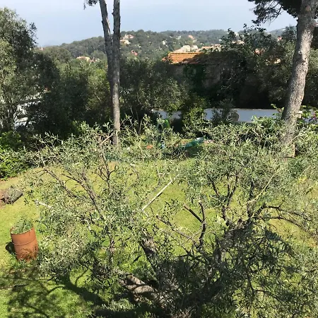 La Pauseto