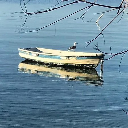 Hébergement de vacances La Pauseto