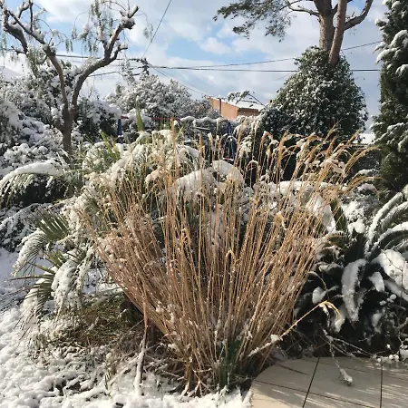 別荘 La Pauseto ラ・セーヌ・シュル・メール